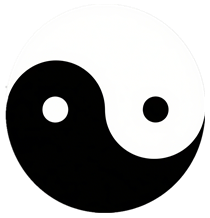 你的未来不止有一种可能